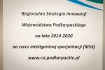 Rollup Regionalnej Strategii Innowacji Województwa Podkarpackiego